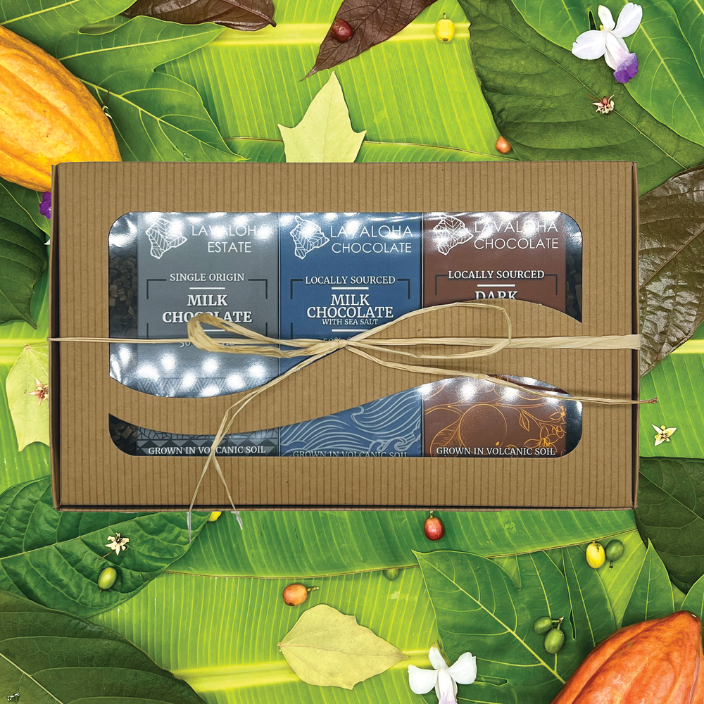 海葉の詩 Dark Chocolate 1kg　業務用 Premium Dark Chocolate Chips – 70% Cacao Intensity for Baking